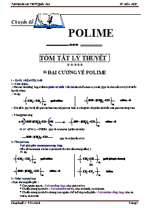 Tài liệu ôn thi THPT quốc gia môn Hóa học - Chuyên đề 4: Polime