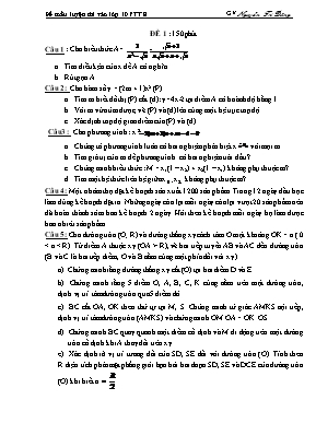 20 Đề luyện thi vào Lớp 10 THPT môn Toán - Nguyễn Trí Dũng