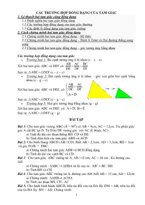 Chuyên đề Hình học 8: Các trường hợp đồng dạng của tam giác