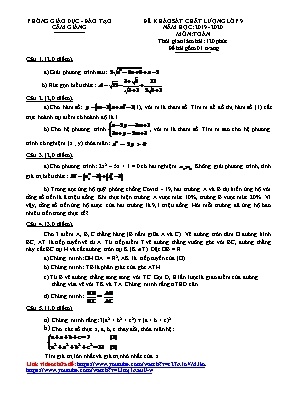 Đề khảo sát chất lượng môn Toán Lớp 9 - Năm học 2019-2020 - Phòng giáo dục và đào tạo Cẩm Giàng (Có đáp án)