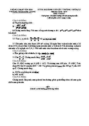 Đề thi học sinh giỏi cấp trường môn Toán Lớp 7 - Năm học 2018-2019 - Trường THCS Minh Lương (Có đáp án)