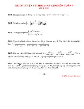 Đề tự luyện thi học sinh giỏi môn Toán Lớp 9 (Ngày 18. 04. 2020) - Nguyễn Tấn Ngọc