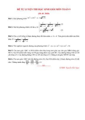 Đề tự luyện thi học sinh giỏi môn Toán Lớp 9 (Ngày 28. 03. 2020) - Nguyễn Tấn Ngọc