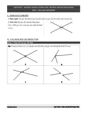 Học Toán 7 theo chuyên đề trọng tâm - Chương I: Đường thẳng vuông góc. Đường thẳng song song - Bài 1: Hai góc đối đỉnh