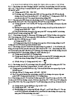 Các bài toán hình tổng hợp ôn thi Lớp 10 và học sinh giỏi cấp tỉnh
