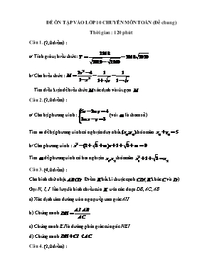 Đề ôn tập vào Lớp 10 chuyên môn Toán (Đề chung) - Có đáp án