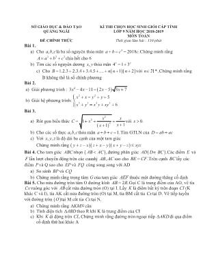 Đề thi chọn học sinh giỏi cấp tỉnh môn Toán Lớp 9 - Năm học 2018-2019 - Sở giáo dục và đào tạo Quảng Ngãi (Có đáp án)