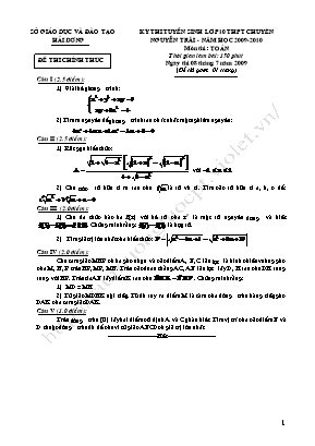 Đề thi tuyển sinh vào Lớp 10 THPT chuyên Nguyễn Trãi môn Toán - Năm học 2009-2010 - Sở giáo dục và đào tạo Hải Dương (Có đáp án)
