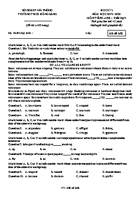 Đề thi học kỳ II môn Tiếng Anh Lớp 9 - Mã đề 658 - Năm học 2019-2020 - Trường THCS Hồng Bàng