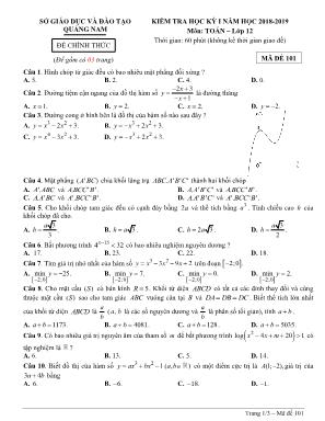 Đề kiểm tra học kỳ I môn Toán Lớp 12 - Mã đề 101 - Năm học 2018-2019 - Sở giáo dục và đào tạo Quảng Nam