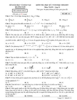 Đề kiểm tra học kỳ I môn Toán Lớp 12 - Mã đề 111 - Năm học 2018-2019 - Sở giáo dục và đào tạo Quảng Nam