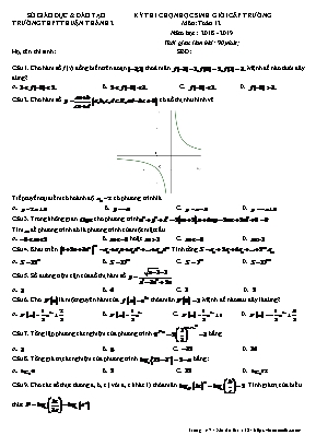 Đề thi chọn học sinh giỏi cấp trường môn Toán Lớp 12 - Năm học 2018-2019 - Trường THPT Thuận Thành 2