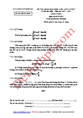 Đề thi chọn học sinh giỏi môn Toán Lớp 12 THPT - Năm học 2012-2013 - Sở giáo dục và đào tạo Ninh Bình (Có đáp án)