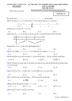 Đề thi thử Tốt nghiệp THPT môn Toán năm 2019 lần 1 - Mã đề 111 - Sở giáo dục và đào tạo Bắc Giang
