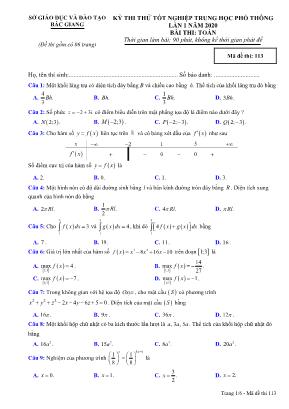 Đề thi thử Tốt nghiệp THPT môn Toán năm 2019 lần 1 - Mã đề 113 - Sở giáo dục và đào tạo Bắc Giang