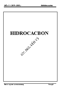 Bài tập dạy thêm Hóa học Lớp 11 - Chương: hydrocacbon - Năm học 2019-2020 - Nguyễn Vỹ
