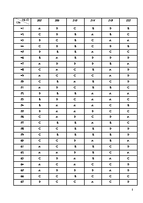 Đáp án đề thi thử THPT Quốc gia môn Hóa học năm 2019 (Mã đề 202, 206, 210, 214, 218, 222) - Sở giáo dục và đào tạo Bắc Ninh