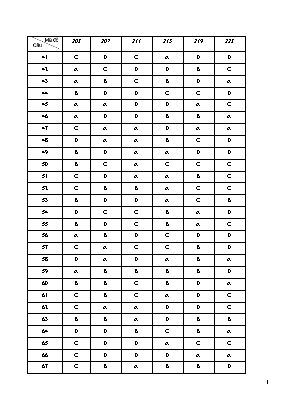 Đáp án đề thi thử THPT Quốc gia môn Hóa học năm 2019 (Mã đề 203, 207, 211, 215, 219, 223) - Sở giáo dục và đào tạo Bắc Ninh