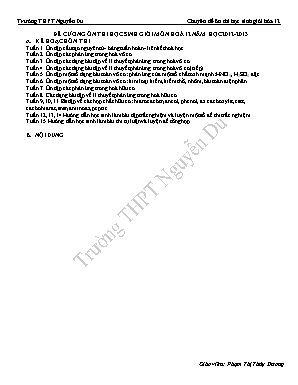 Đề cương ôn thi học sinh giỏi môn Hoá học Lớp 12 - Năm học 2012-2013 - Trường THPT Nguyễn Du