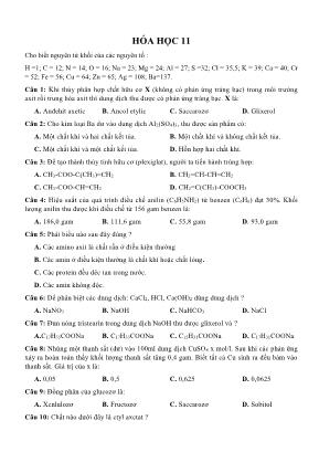 Đề ôn thi THPT Quốc gia môn Hóa học - Đề 11