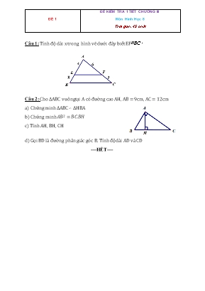 10 Đề kiểm tra Hình học 8 1 tiết - Chương 3: Tam giác đồng dạng (Có đáp án)