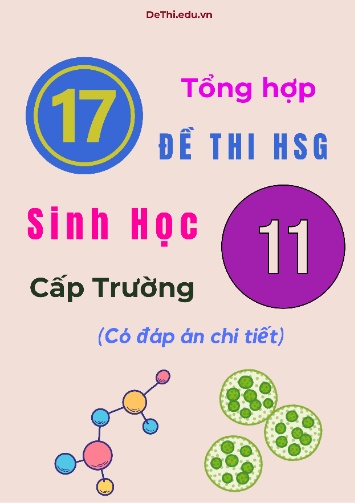 Tổng hợp 17 đề thi HSG Sinh học Lớp 11 cấp Trường (Có đáp án chi tiết)