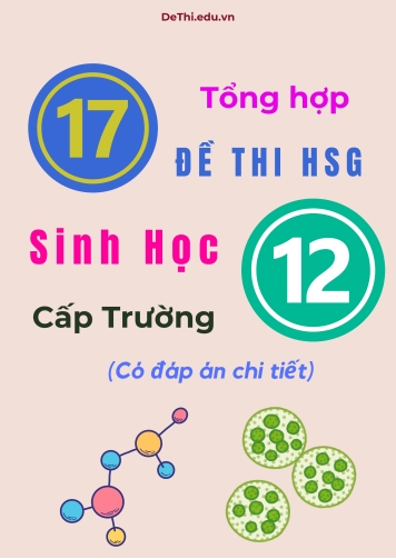 Tổng hợp 17 đề thi HSG Sinh học Lớp 12 cấp Trường (Có đáp án chi tiết)