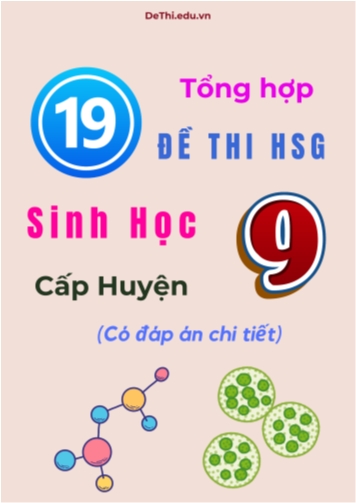 Tổng hợp 19 đề thi HSG Sinh học Lớp 9 cấp Huyện (Có đáp án chi tiết)