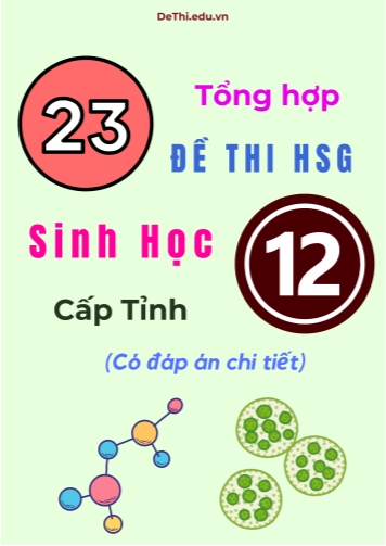 Tổng hợp 23 đề thi HSG Sinh học Lớp 12 cấp Tỉnh (Có đáp án chi tiết)