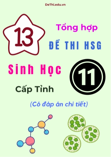 Tổng hợp 13 đề thi HSG Sinh học Lớp 11 cấp Tỉnh (Có đáp án chi tiết)