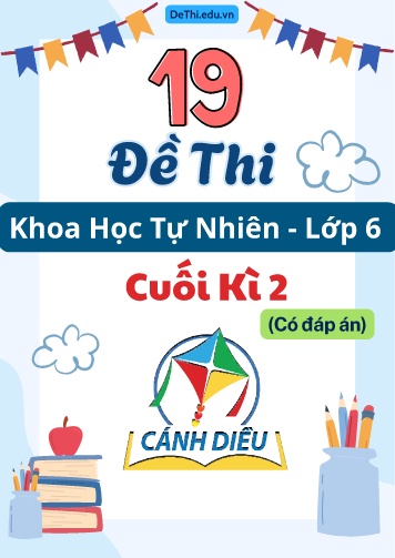 Tổng hợp 19 Đề thi KHTN 6 cuối Kì 2 Cánh Diều (Kèm đáp án)