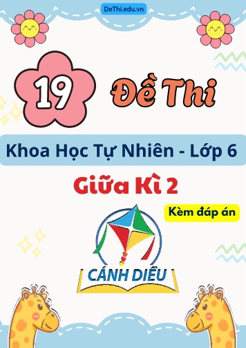 Tổng hợp 19 Đề thi KHTN 6 giữa Kì 2 Cánh Diều (Kèm đáp án)