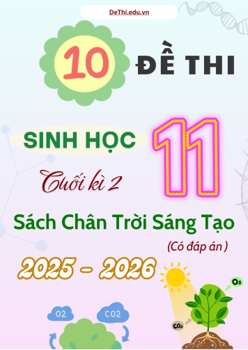 Tuyển tập 10 Đề thi cuối kì 2 năm học 2025-2026 môn Sinh học 11 CTST (Kèm đáp án)