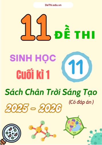 Tuyển tập 11 Đề thi cuối kì 1 năm học 2025-2026 môn Sinh học 11 CTST (Kèm đáp án)