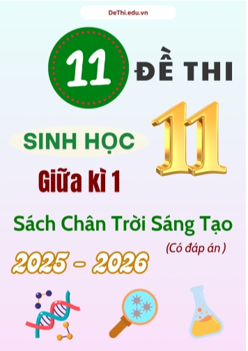 Tuyển tập 11 Đề thi giữa kì 1 năm học 2025-2026 môn Sinh học 11 CTST (Kèm đáp án)