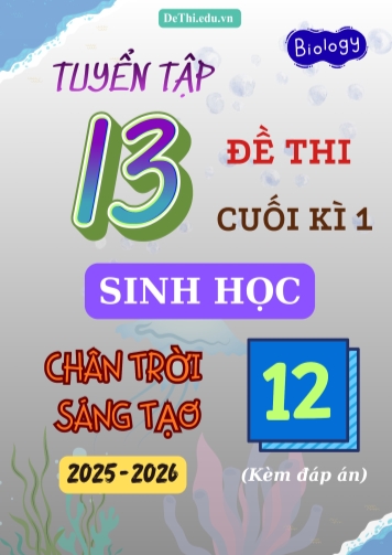 Tuyển tập 13 Đề thi cuối kì 1 năm học 2025-2026 môn Sinh học 12 CTST (Kèm đáp án)