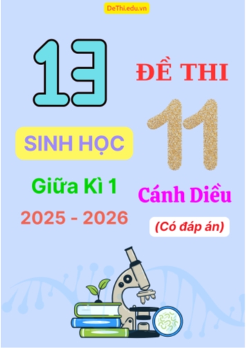 Tuyển tập 13 Đề thi giữa kì 1 năm học 2025-2026 môn Sinh học 11 Cánh Diều (Kèm đáp án)