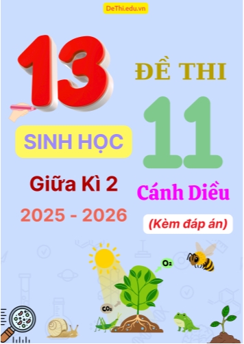 Tuyển tập 13 Đề thi giữa kì 2 năm học 2025-2026 môn Sinh học 11 Cánh Diều (Kèm đáp án)