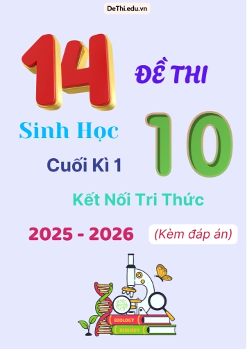 Tuyển tập 14 Đề thi cuối kì 1 năm học 2025-2026 môn Sinh học 10 KNTT (Kèm đáp án)