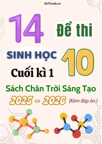 Tuyển tập 14 Đề thi cuối kì 1 năm học 2025-2026 môn Sinh học 10 CTST (Kèm đáp án)