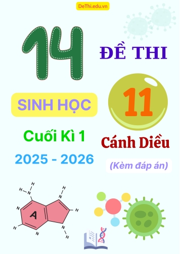 Tuyển tập 14 Đề thi cuối kì 1 năm học 2025-2026 môn Sinh học 11 Cánh Diều (Kèm đáp án)