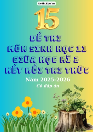 Tuyển tập 15 Đề thi giữa kì 2 năm học 2025-2026 môn Sinh học 11 KNTT (Kèm đáp án)