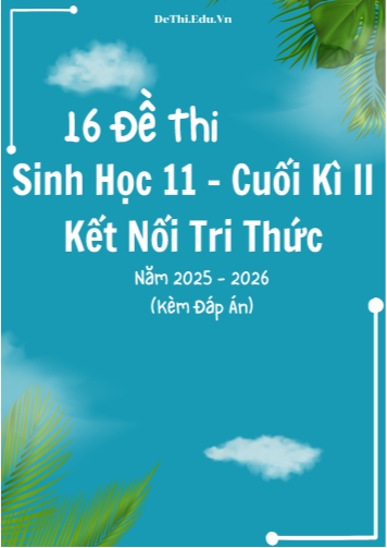 Tuyển tập 16 Đề thi cuối kì 2 năm học 2025-2026 môn Sinh học 11 KNTT (Kèm đáp án)