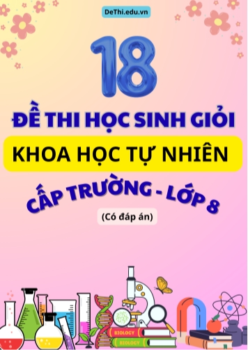 Tuyển tập 18 Đề thi HSG cấp Trường môn KHTN 8 (Đầy đủ phân môn và Đáp án)