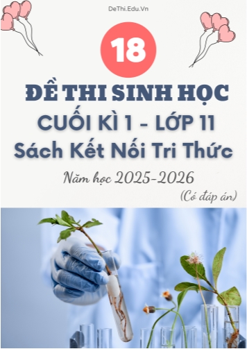 Tuyển tập 22 Đề thi cuối kì 1 năm học 2025-2026 môn Sinh học 11 KNTT (Kèm đáp án)
