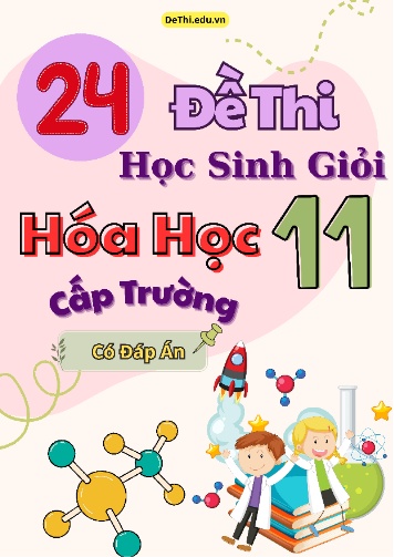Tuyển tập 24 Đề thi HSG cấp Trường môn Hóa học 11 (Kèm đáp án)