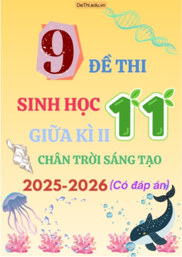Tuyển tập 9 Đề thi giữa kì 2 năm học 2025-2026 môn Sinh học 11 CTST (Kèm đáp án)