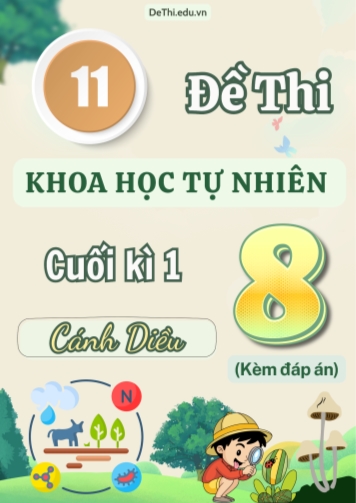 Tuyển tập 11 Đề thi cuối Kì 1 môn KHTN 8 sách Cánh Diều (Kèm đáp án)