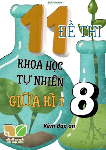 Tuyển tập 11 Đề thi giữa Kì 1 môn KHTN 8 sách Kết Nối Tri Thức (Kèm đáp án)