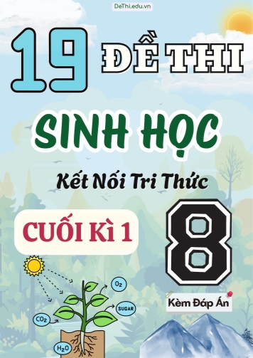Tuyển tập 19 Đề thi cuối Kì 1 môn Sinh Học 8 sách Kết Nối Tri Thức (Kèm đáp án)